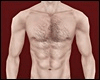 Add On Body Hair . Brown