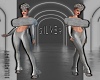 Silver Bundle