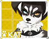 Furry dog - Hoshi