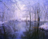 photobyterry winter