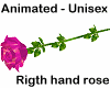 right hand pink rose ANI
