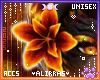 🌸; Vulcan Lava Lily
