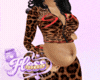 Preg 3-6 Fire Cheetah