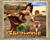 zBrownie Bday Banner 2