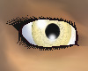 Honey Eyes