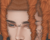 유Luis Hair - Carrot