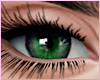 Boudoir - Emerald Eyes