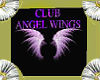 angel wings club rug