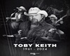 toby keith guitar sofa