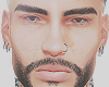 Beipe brows/beard