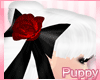 [Pup] Rose Pearl