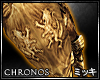 ! Gold Chronos Shield