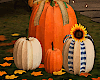 Fall Cute Pumpkins