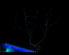Lights Tree/Blue Moon
