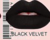 BLACK VELVET