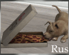 Rus Puppy Steals Pizza