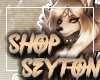 Seyton Support Banner