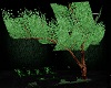 Green Animated Tree