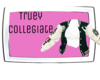 𝓥.Truey Collegiate #1