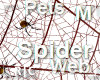 R|C Spider Web Yellow M