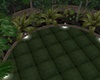 C- Garden liy