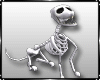 Halloween Skeleton Dog