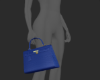 ☆ Blue Birk