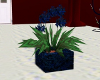 blue darkened flowers