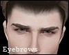 Vampire Brown Eyebrows