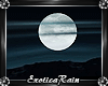 (E) Night Moonlit Sky