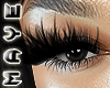 M. BOTTOM LASH V1