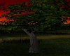 ~HD~tree2