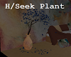 H/Seek Plant