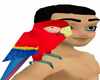 Parrot on Shoulder