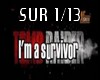 Survivor Rmx