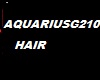 AquariusG210 hair