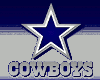 (Sp)Cowgirls Skirt