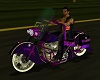 Purple Passion Ride