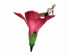 Magic Flower