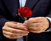 Homme rose