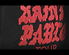 Pabs Tour XL MV!!
