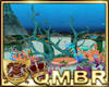 QMBR Atlantis Big Reef