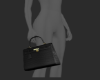 ☆ Black Birk