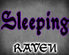 [R]3D SleepingHeadsignPU