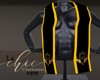 DU Graduation Stole V1