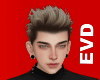 EVD Blonde Korea