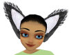 EG Black Fox Ears