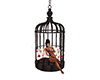 bird cage seat