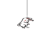 Bunny Pole Dance