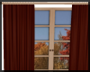 Window ~ Fall